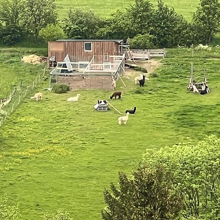 Gemuetliche 3-Zimmer-Wohnung Mit Panoramablick Und Kostenlosem Ueberdachten Parkplatz Винтерберг Экстерьер фото